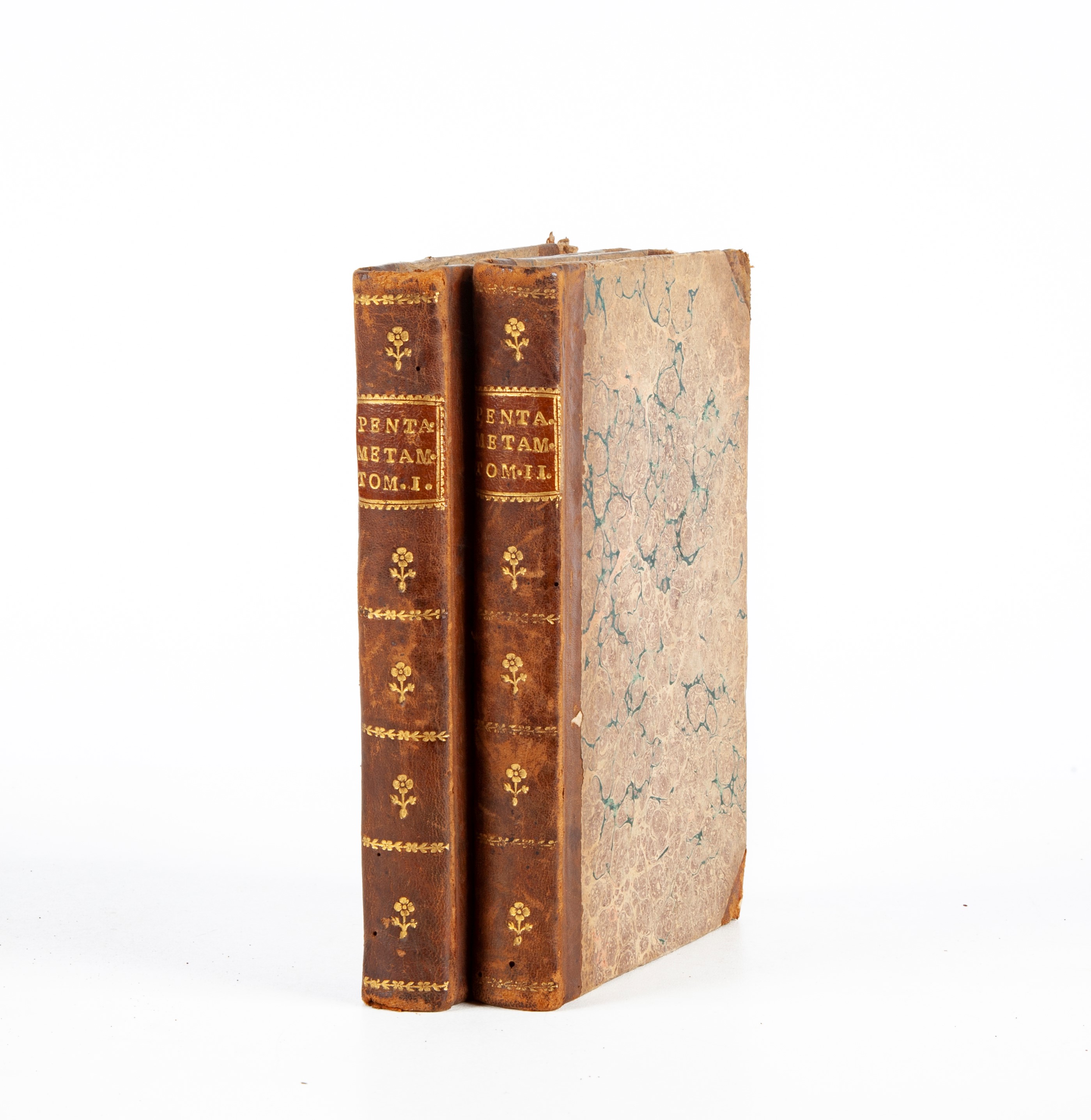 Publio Ovidio Nasone - Pentamerone delle Metamorfosi d'Ovidio. Fedelmente e cautamente volgarizza...