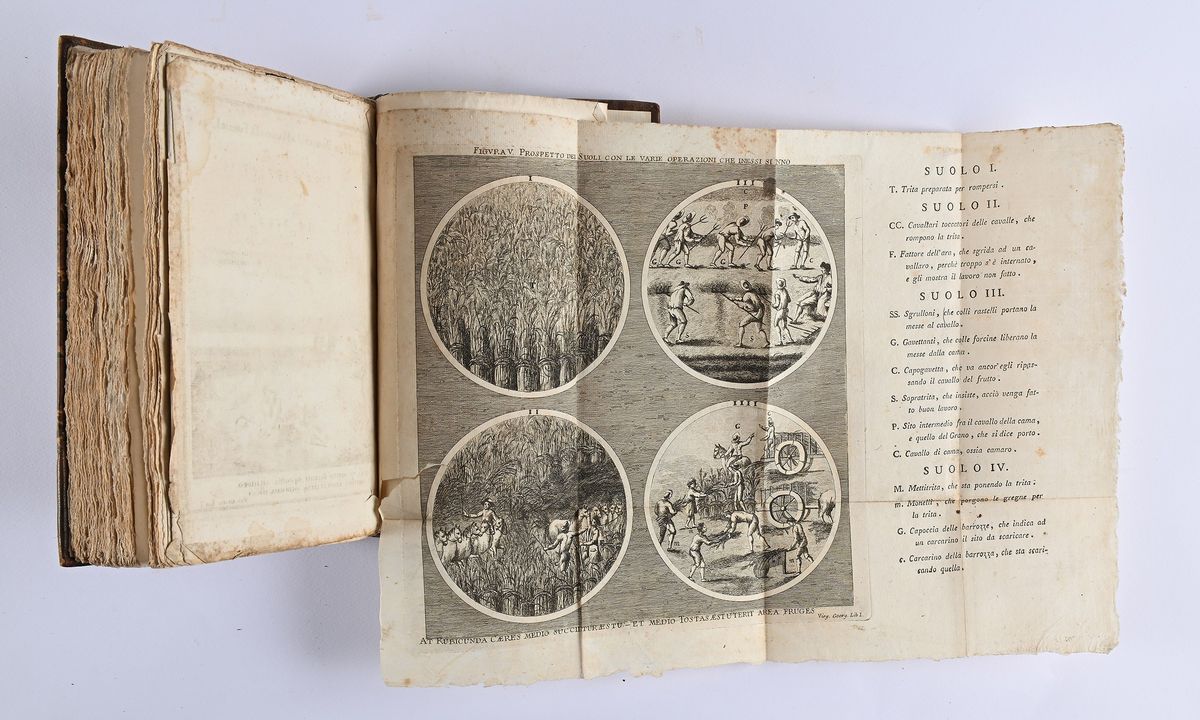 Luigi Doria - Istituzioni georgiche per la coltivazione de' grani ad uso delle campagne romane. E...