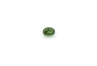 Tormalina Verde