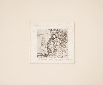 L'olivo