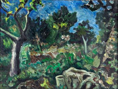 Paesaggio Boschivo