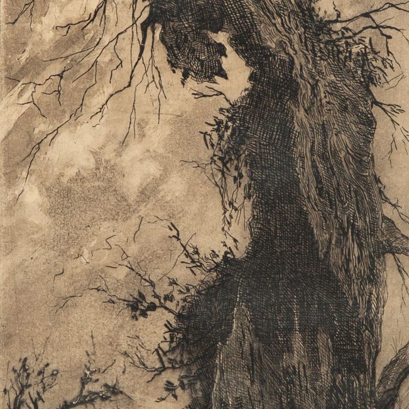 Pittore del XIX Secolo - Vecchio Albero