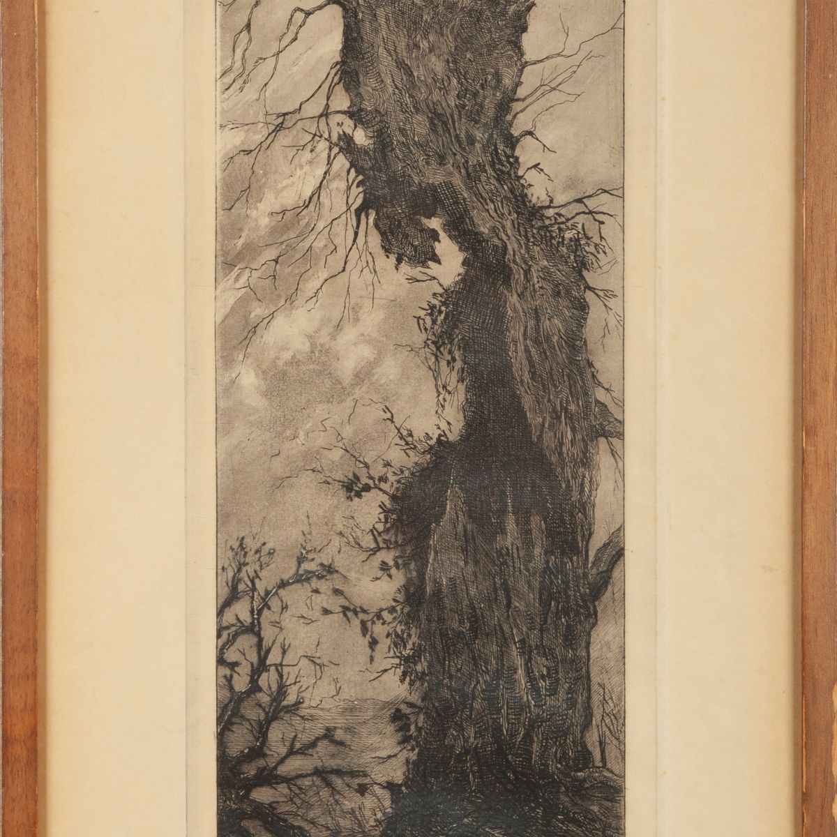 Pittore del XIX Secolo - Vecchio Albero