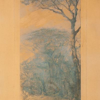 Scorcio con Pino