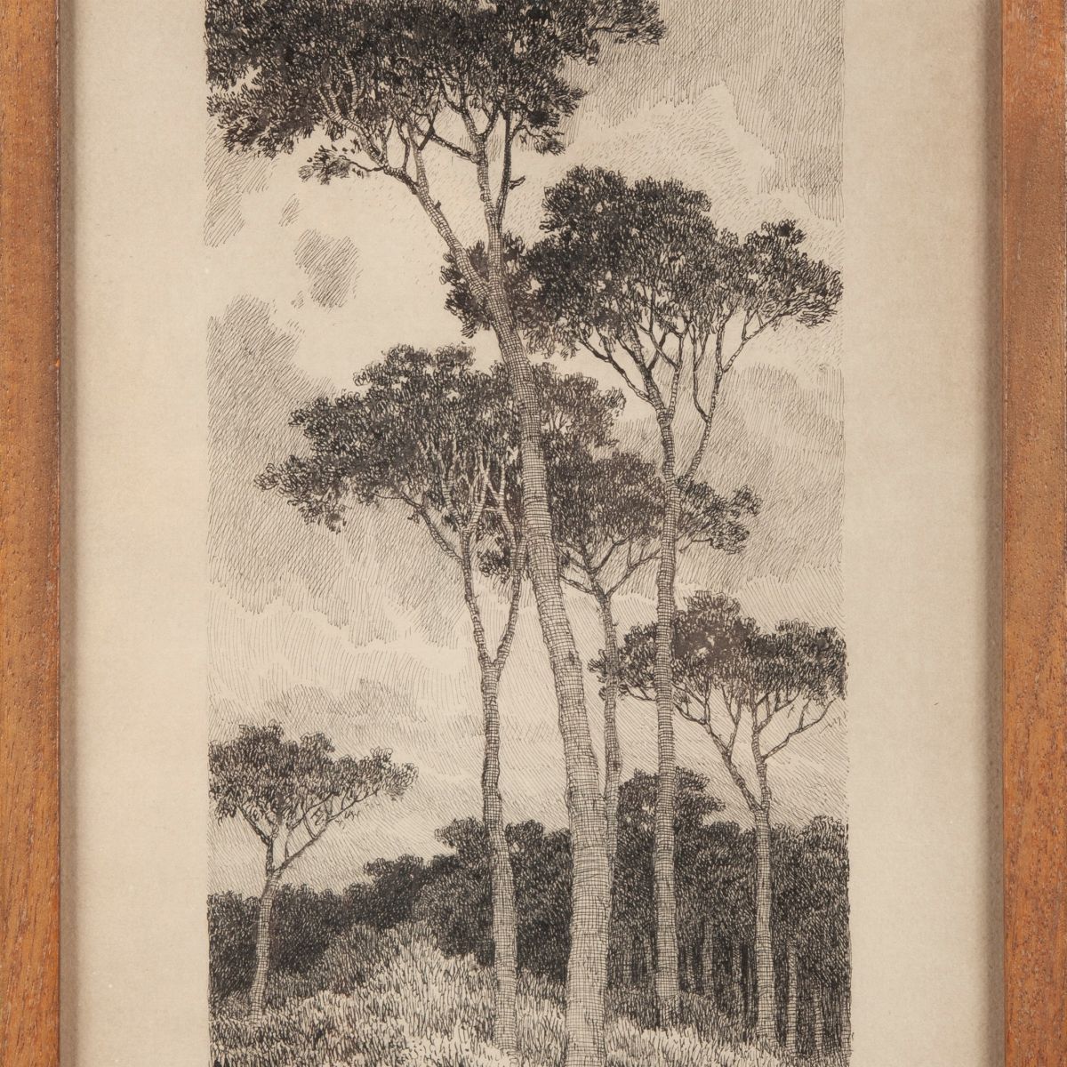 Giovanni Piancastelli - Pineta