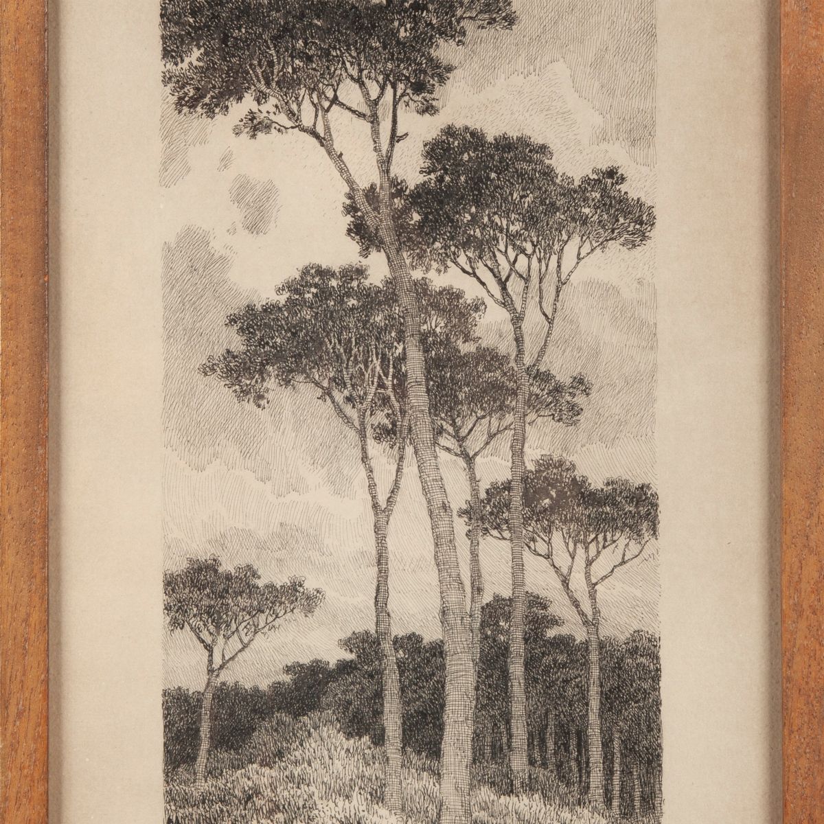 Giovanni Piancastelli - Pineta