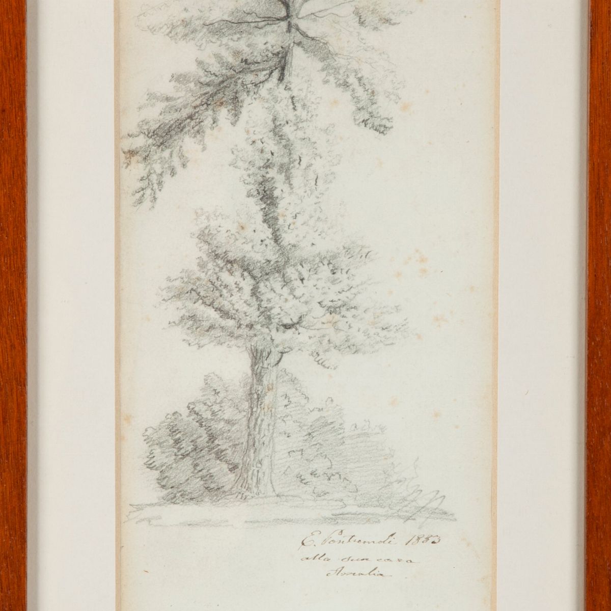 Emmanuel Pontremoli - Albero