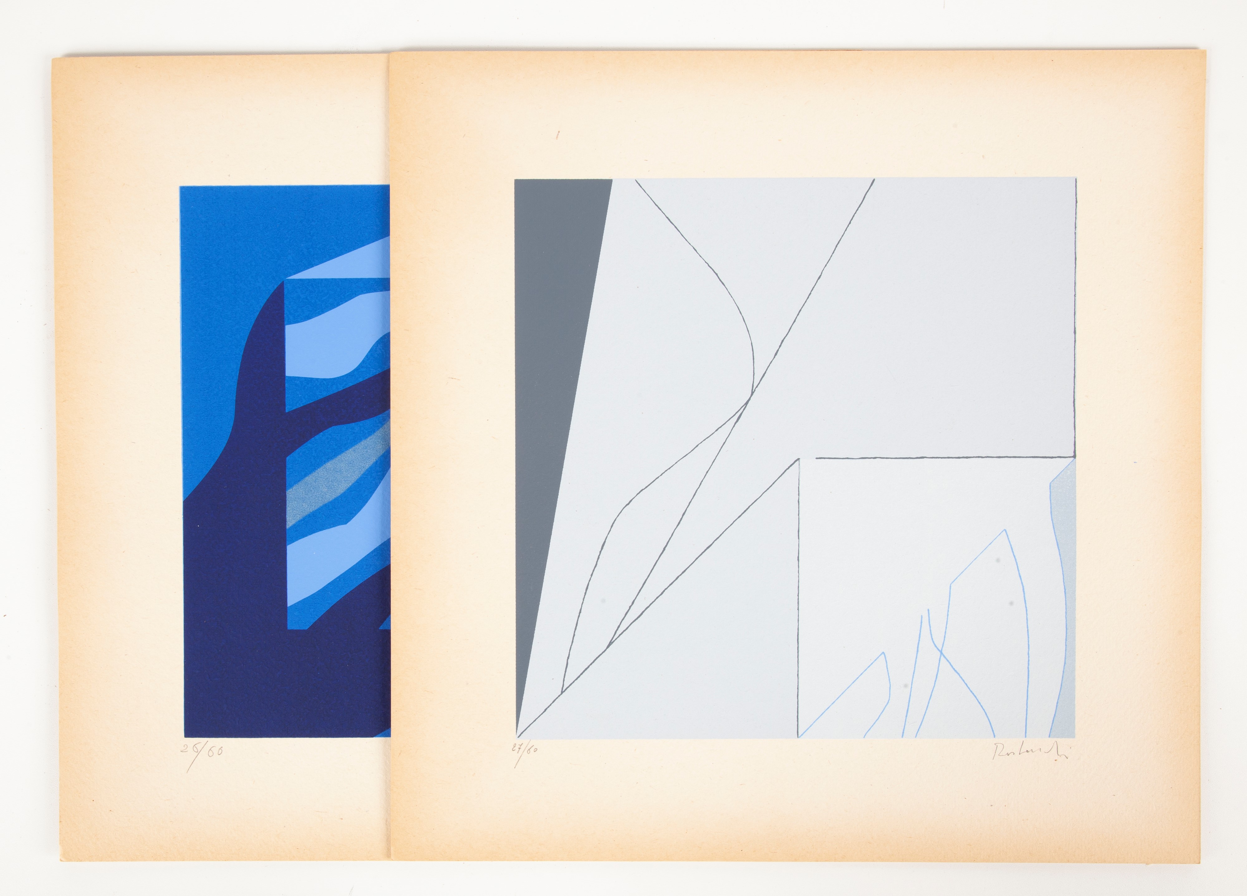 Paolo Ristonchi - Cartella contenente 10 serigrafie a colori su carta legno 250 grammi entro cart...