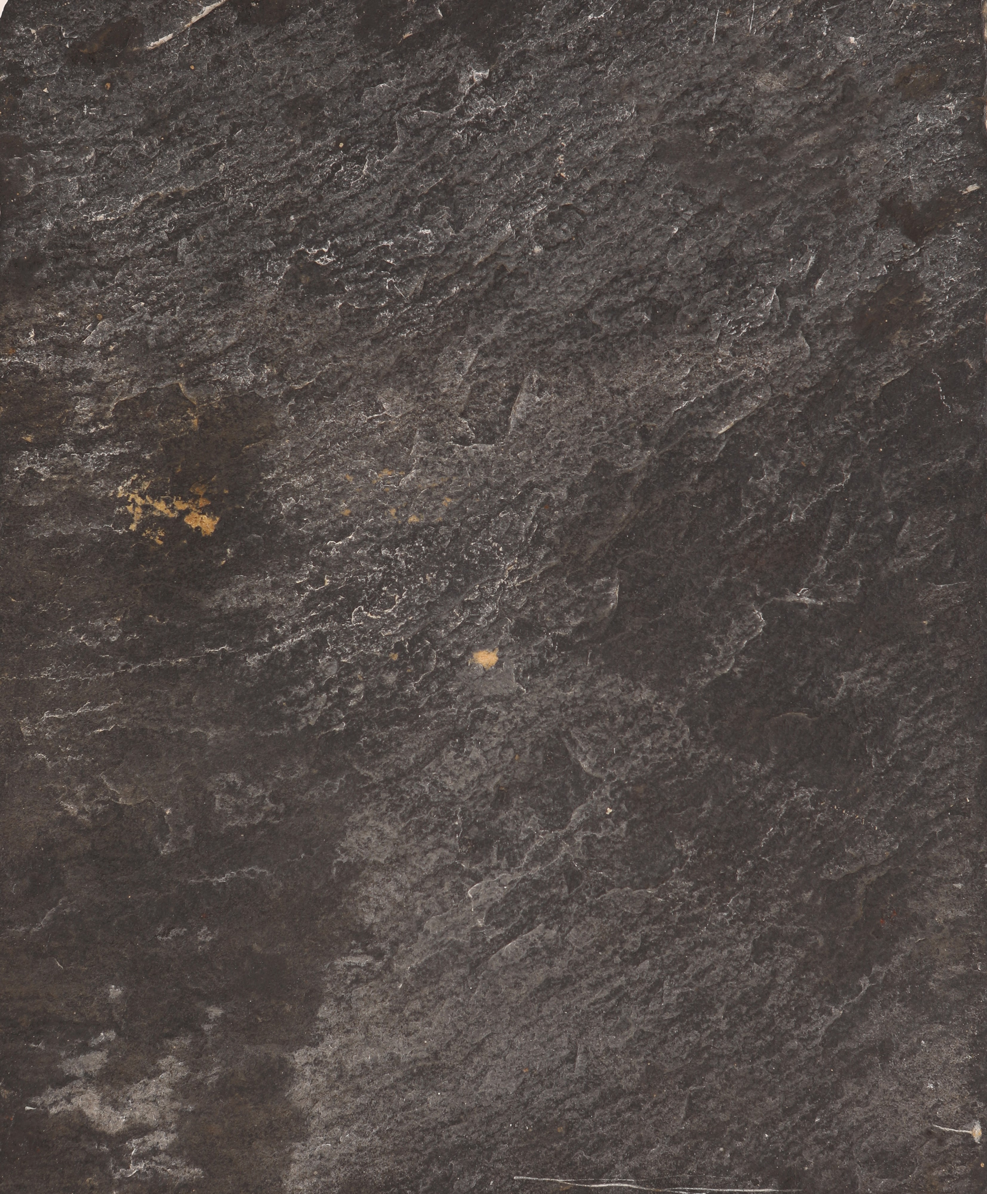 Ritratto di Alessandro VII Chigi