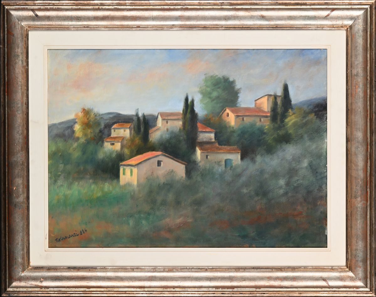 Nino Tirinnanzi - Case in Campagna