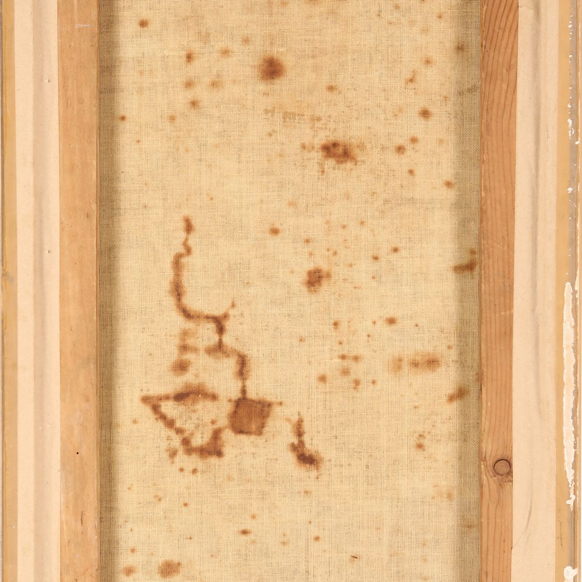 Pittore del XVII Secolo - Immacolata Concezione