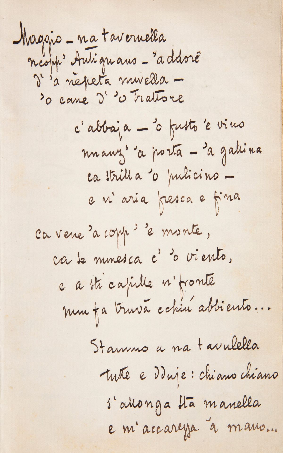 Liber Amicorum Titina Calabrese