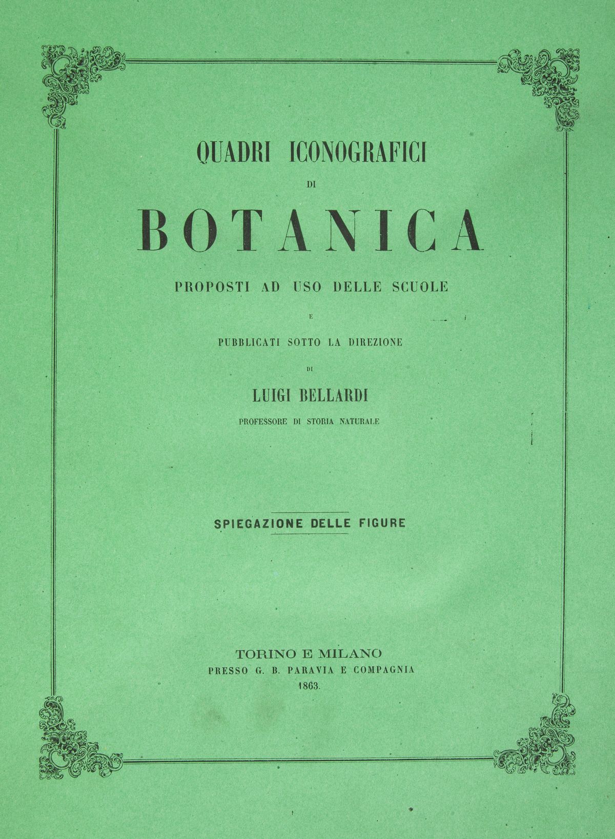 3 Libri Illustrati con Tavole del XIX Secolo: Luigi Bellardi - Quadri Iconografici di Zoologia, P...