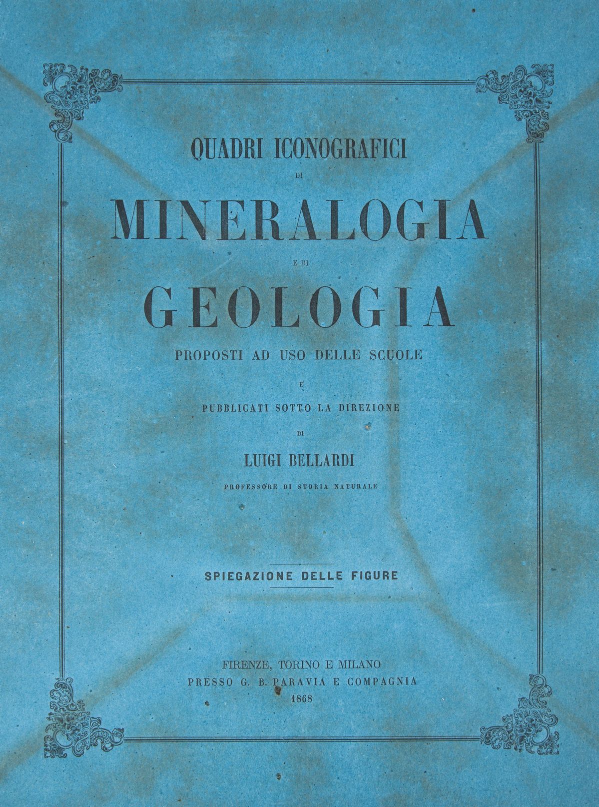 3 Libri Illustrati con Tavole del XIX Secolo: Luigi Bellardi - Quadri Iconografici di Zoologia, P...