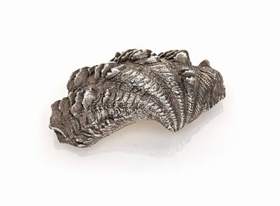 Federico Buccellati - Ostrica Naturale Rivestita in Argento 999