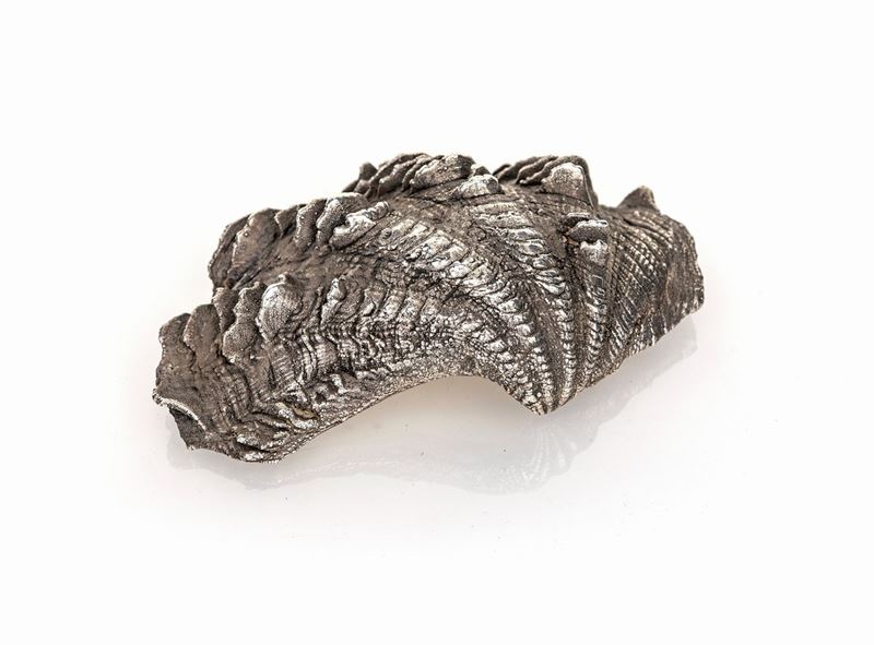 Federico Buccellati - Ostrica Naturale Rivestita in Argento 999