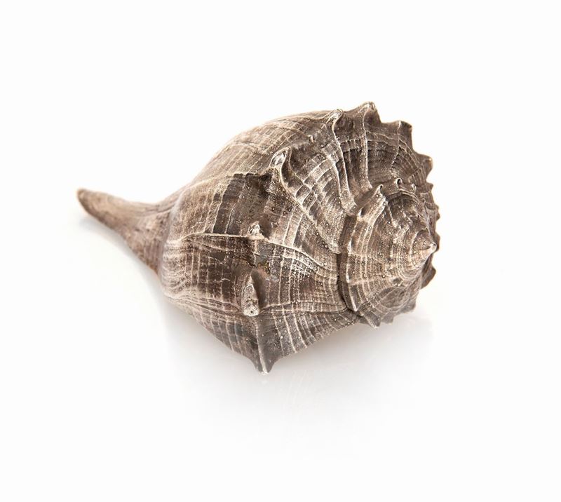 Federico Buccellati - Conchiglia Naturale Rivestita in Argento 999