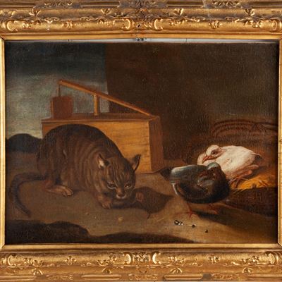 Gatto e Colombi