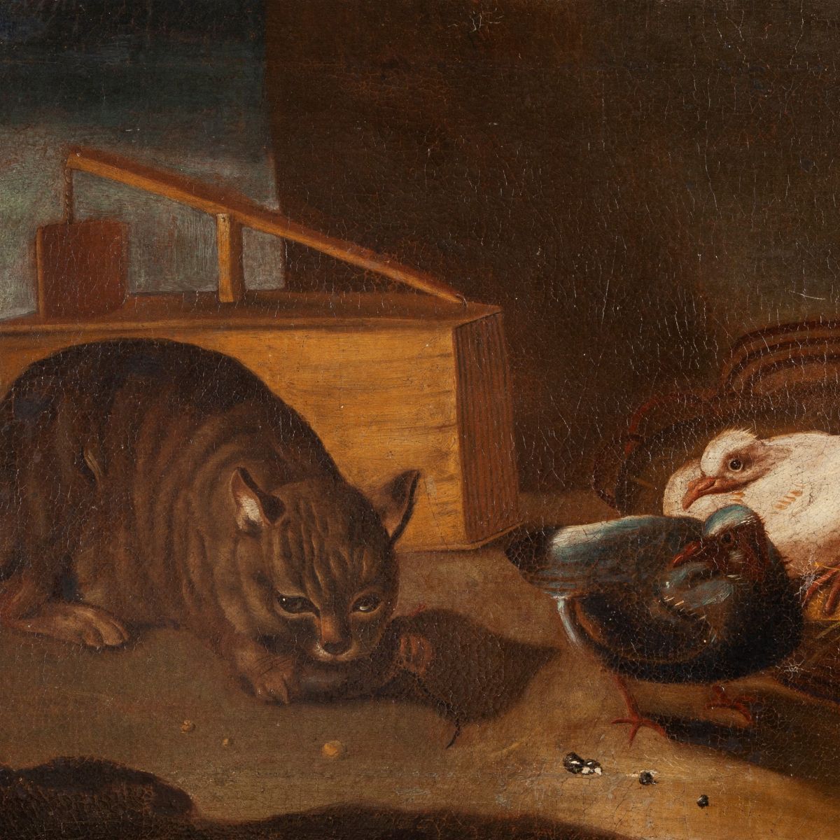 Pittore Lombardo del XVIII Secolo - Gatto e Colombi