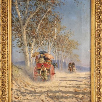 Gita in Carrozzella