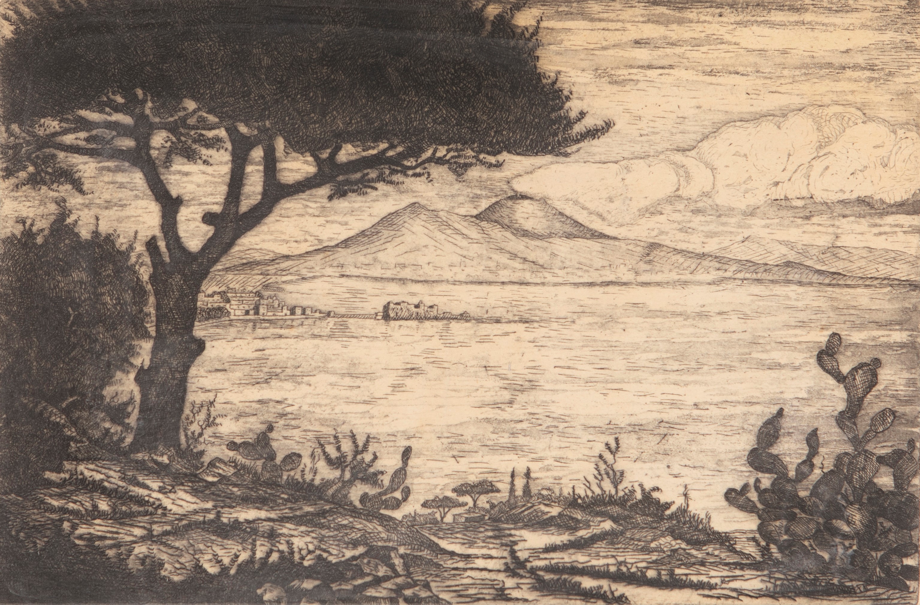Anonimo del XX Secolo - Golfo di Napoli