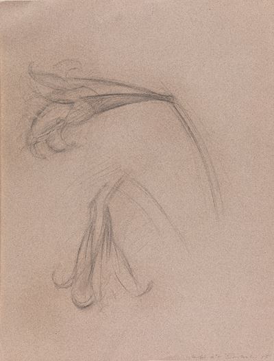 Fiori N.7