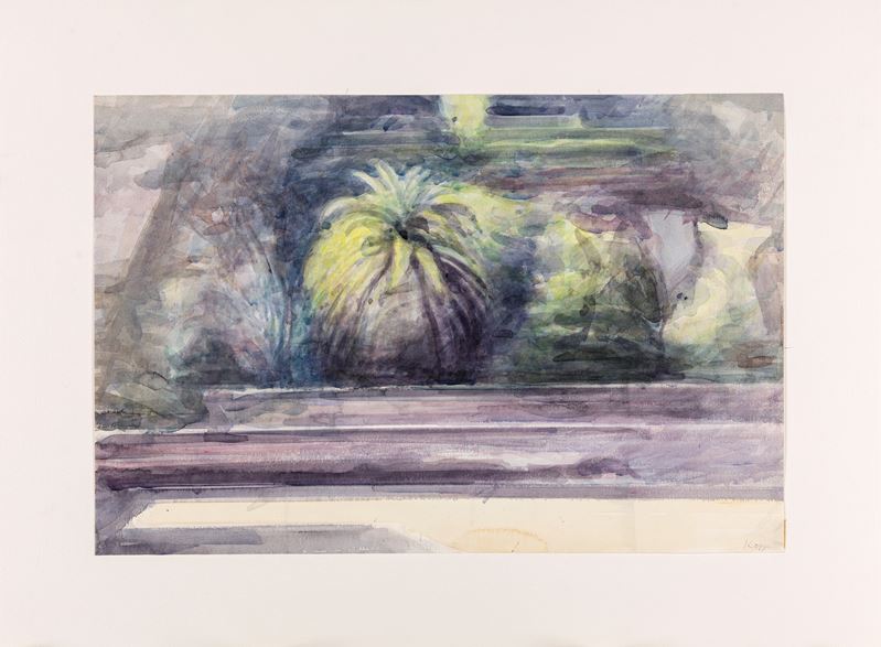 Dieter Kopp - Palma