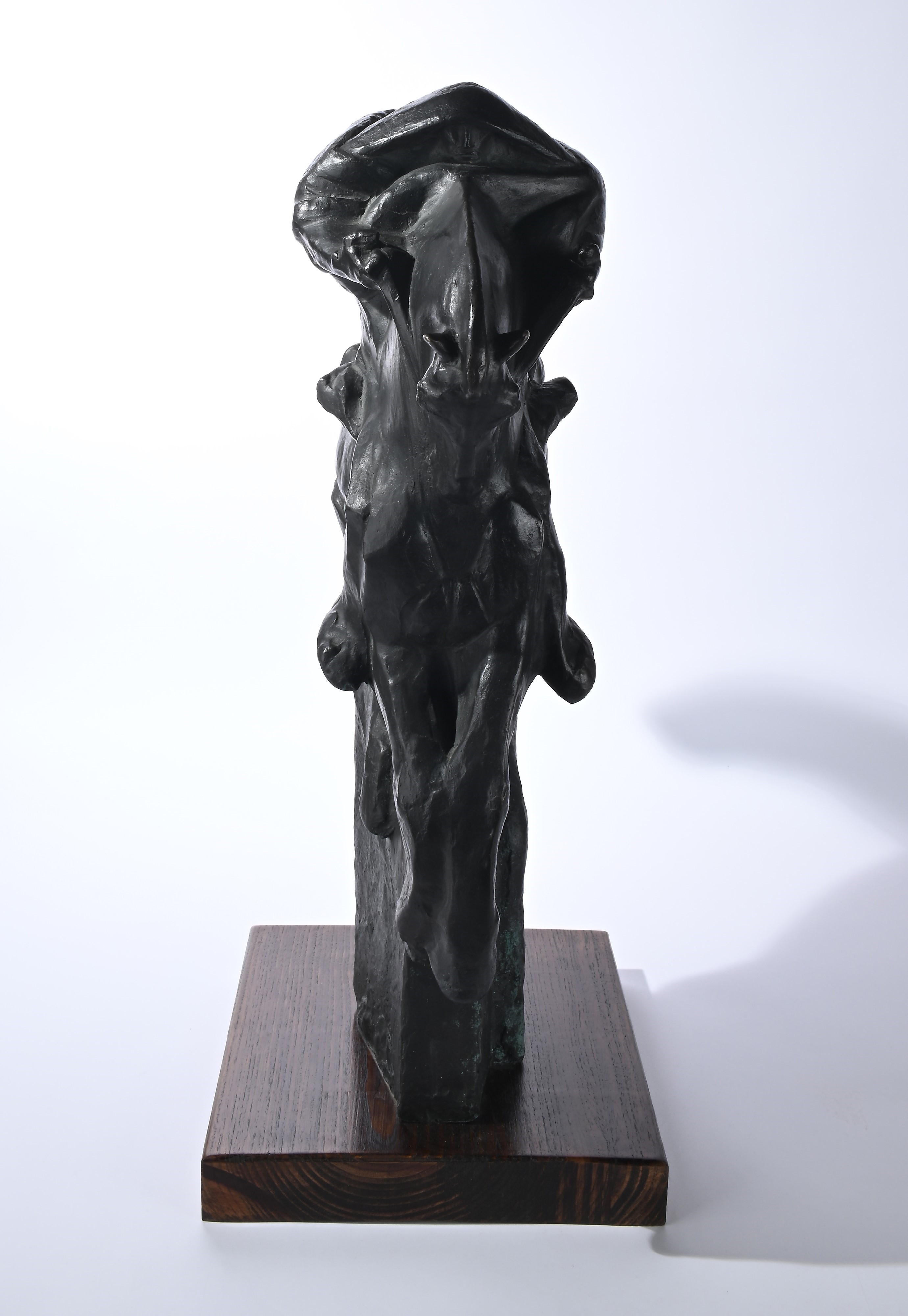 Duilio Cambellotti - Magister Equitum