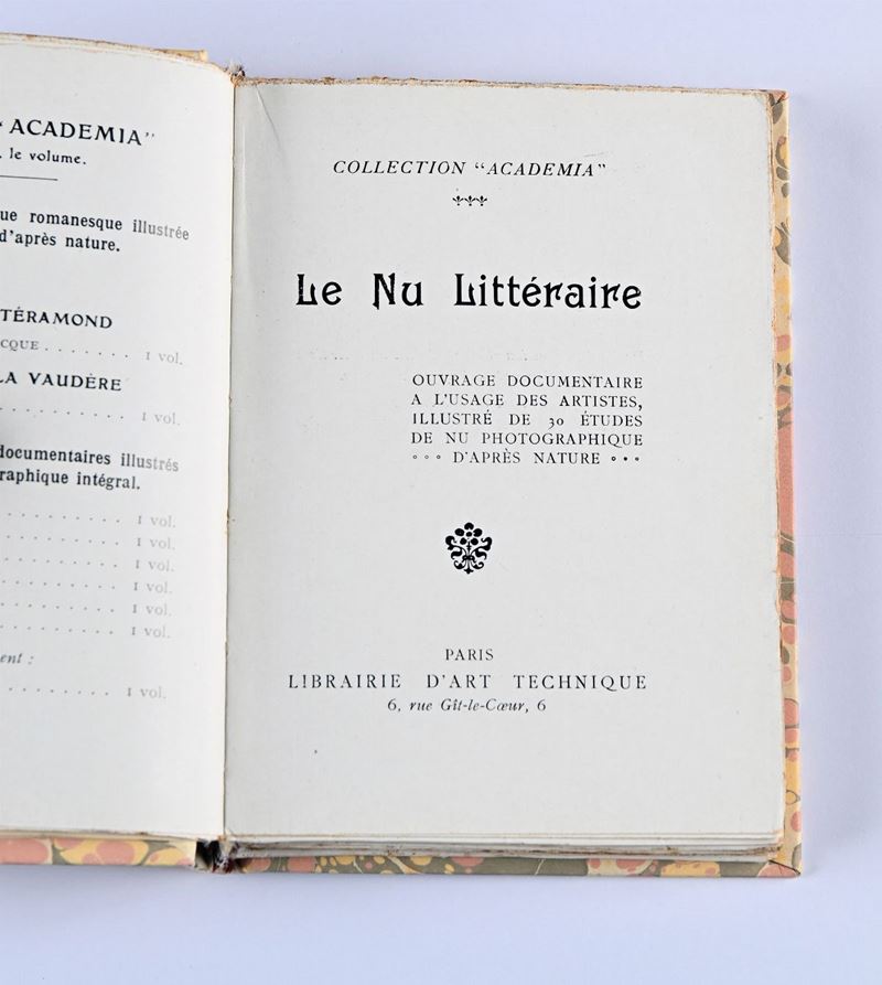 Le Nu Litteraire