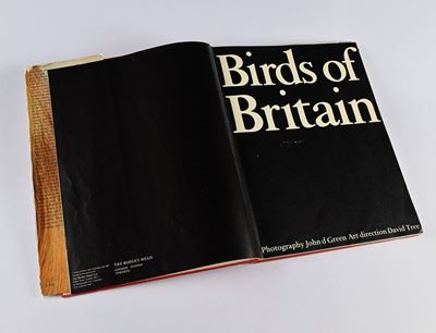 Green, John D - Birds Of Britain