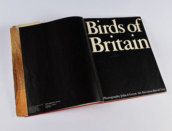 GREEN, JOHN D - BIRDS OF BRITAIN