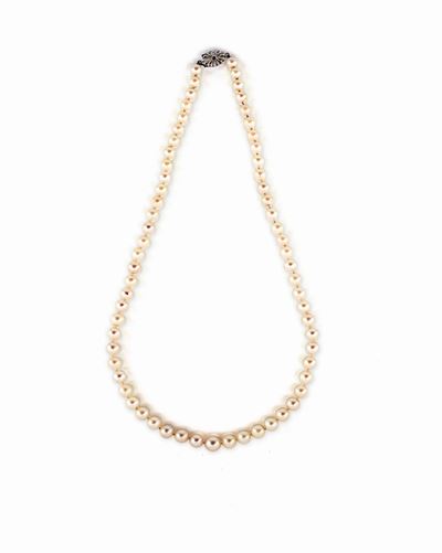 Collana di Perle con Chiusura in Oro