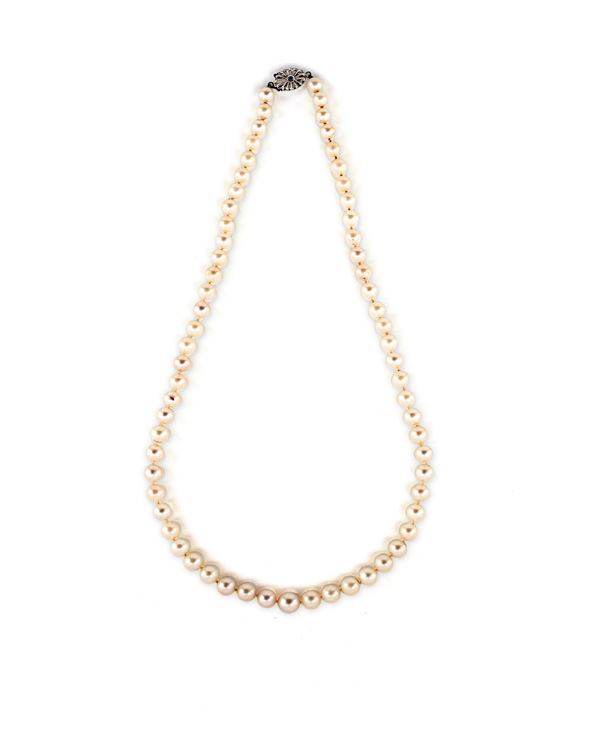 Collana di perle con chiusura in oro  - Asta Gioielli - Casa d'Aste Arcadia