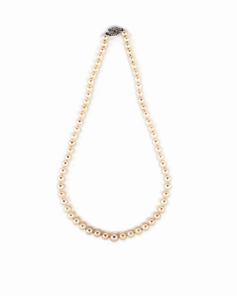 Collana di Perle con Chiusura in Oro