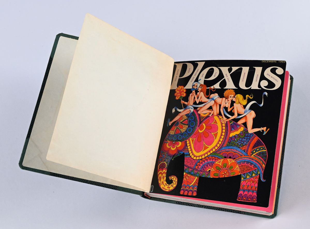 Plexus
