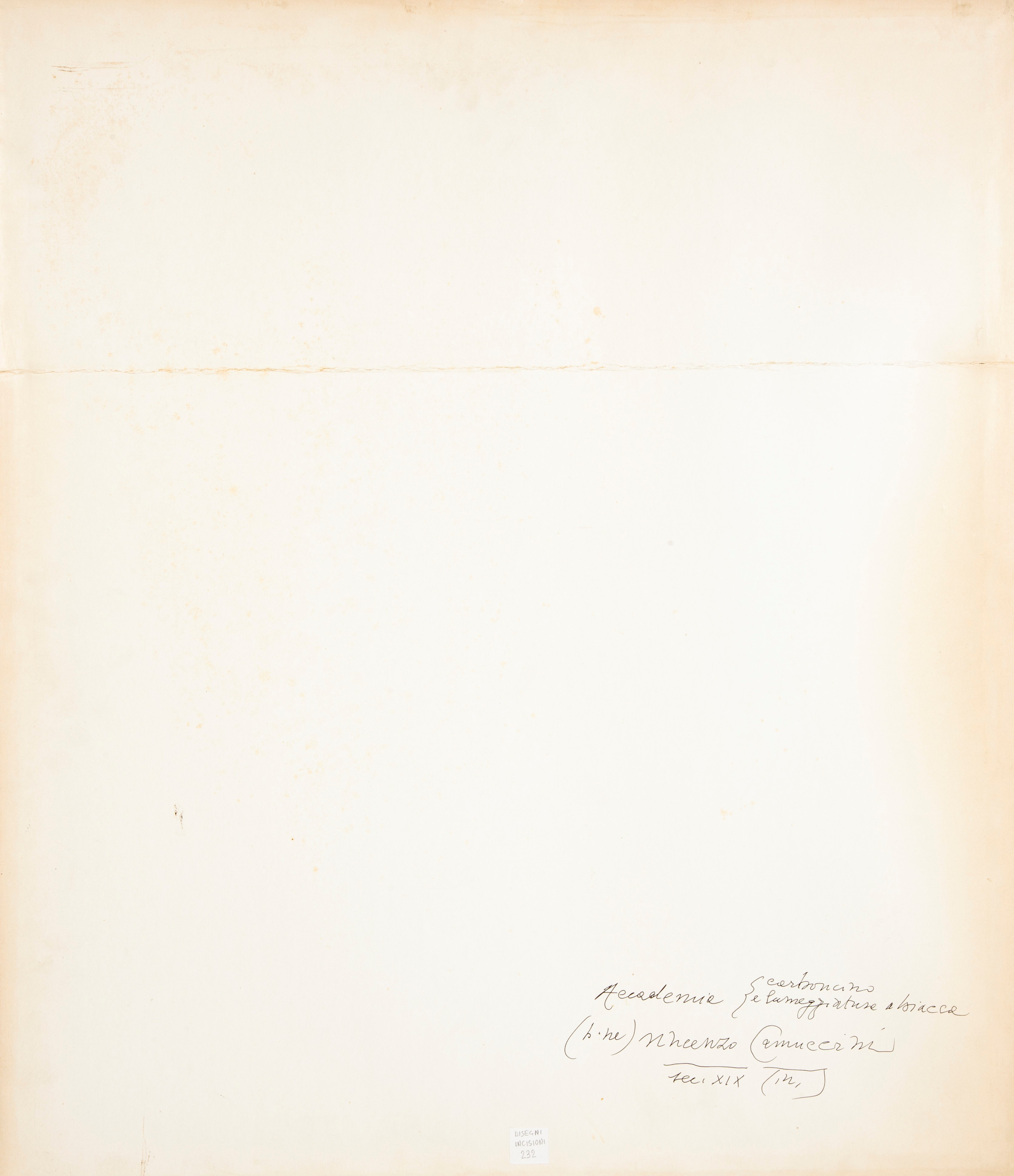 Vincenzo Camuccini - Studio accademico di due nudi maschili, carboncino e lumeggiature a biacca s...