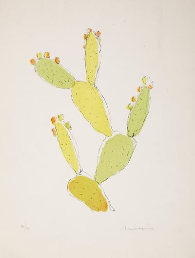 Cactus