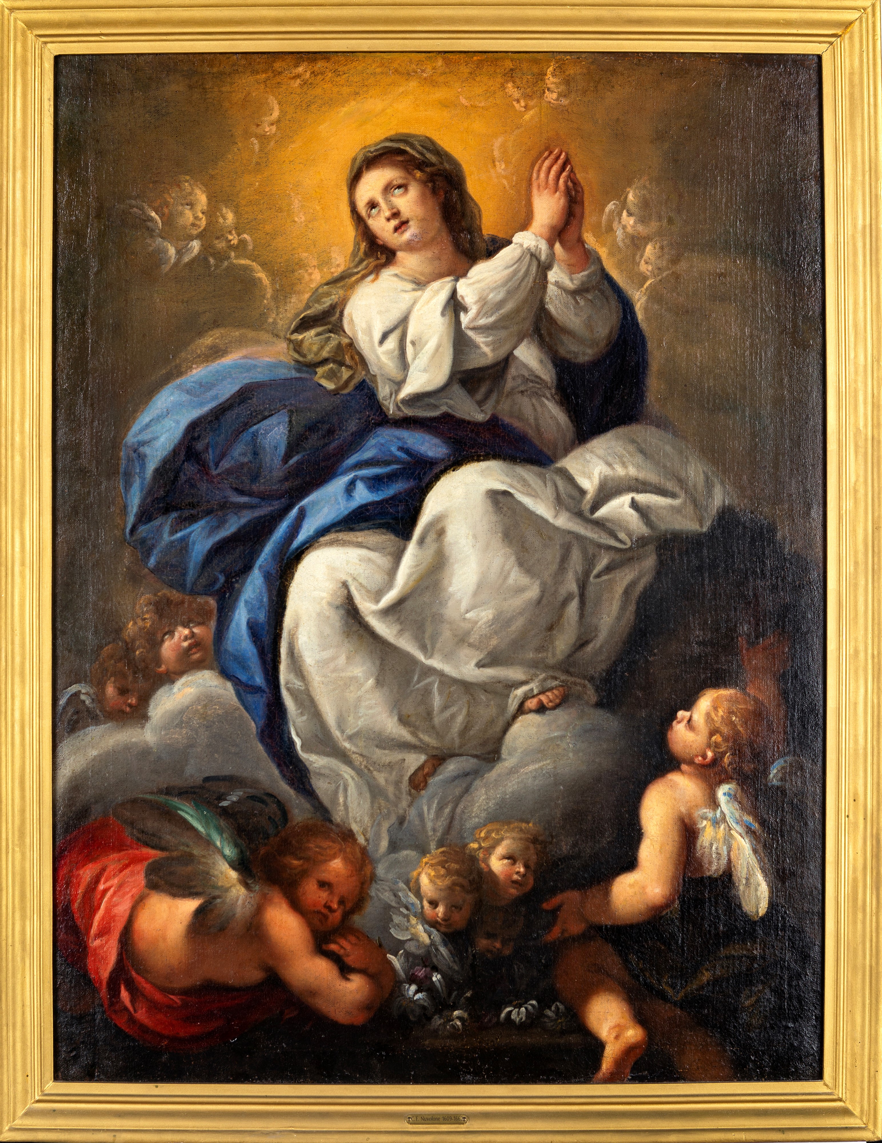 Carlo Francesco Nuvolone - Assunzione della Vergine con Putti