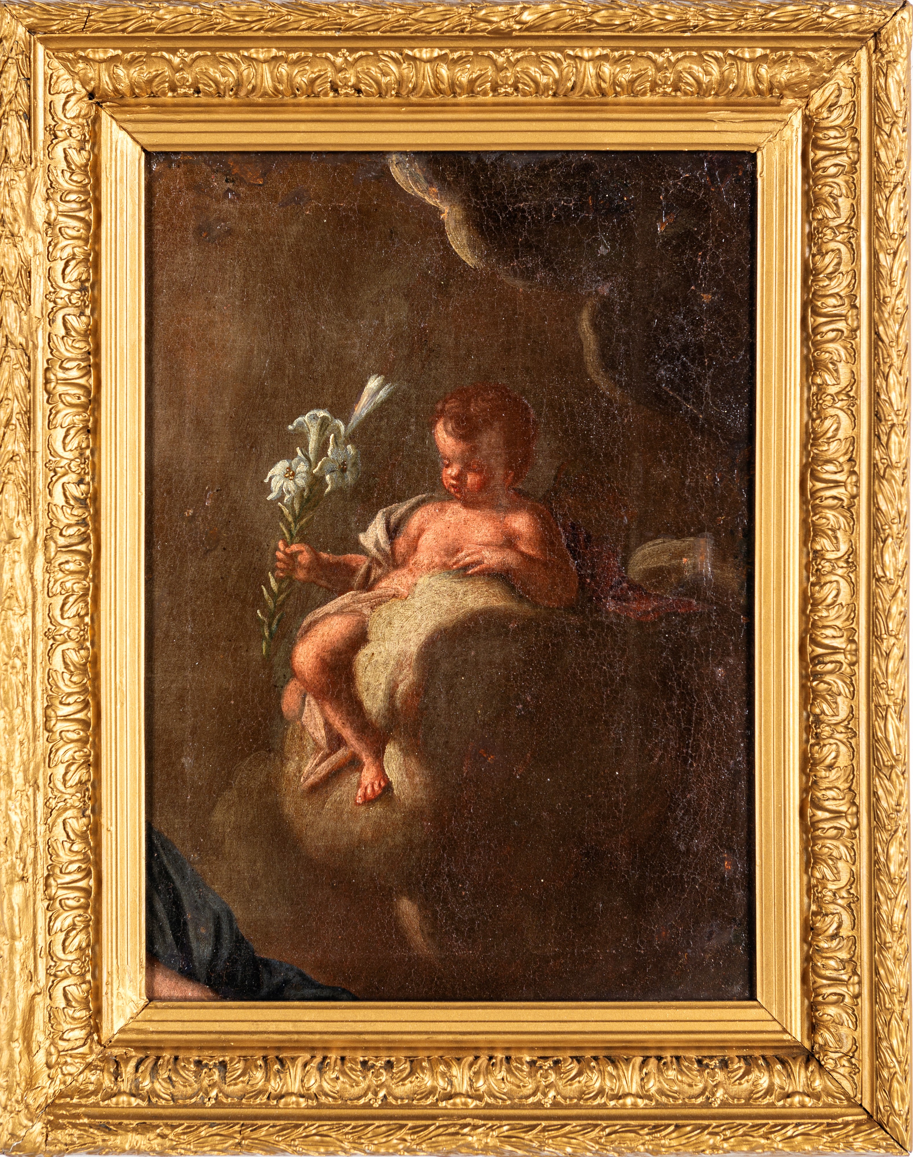 Scuola Napoletana del XVIII Secolo - Putto