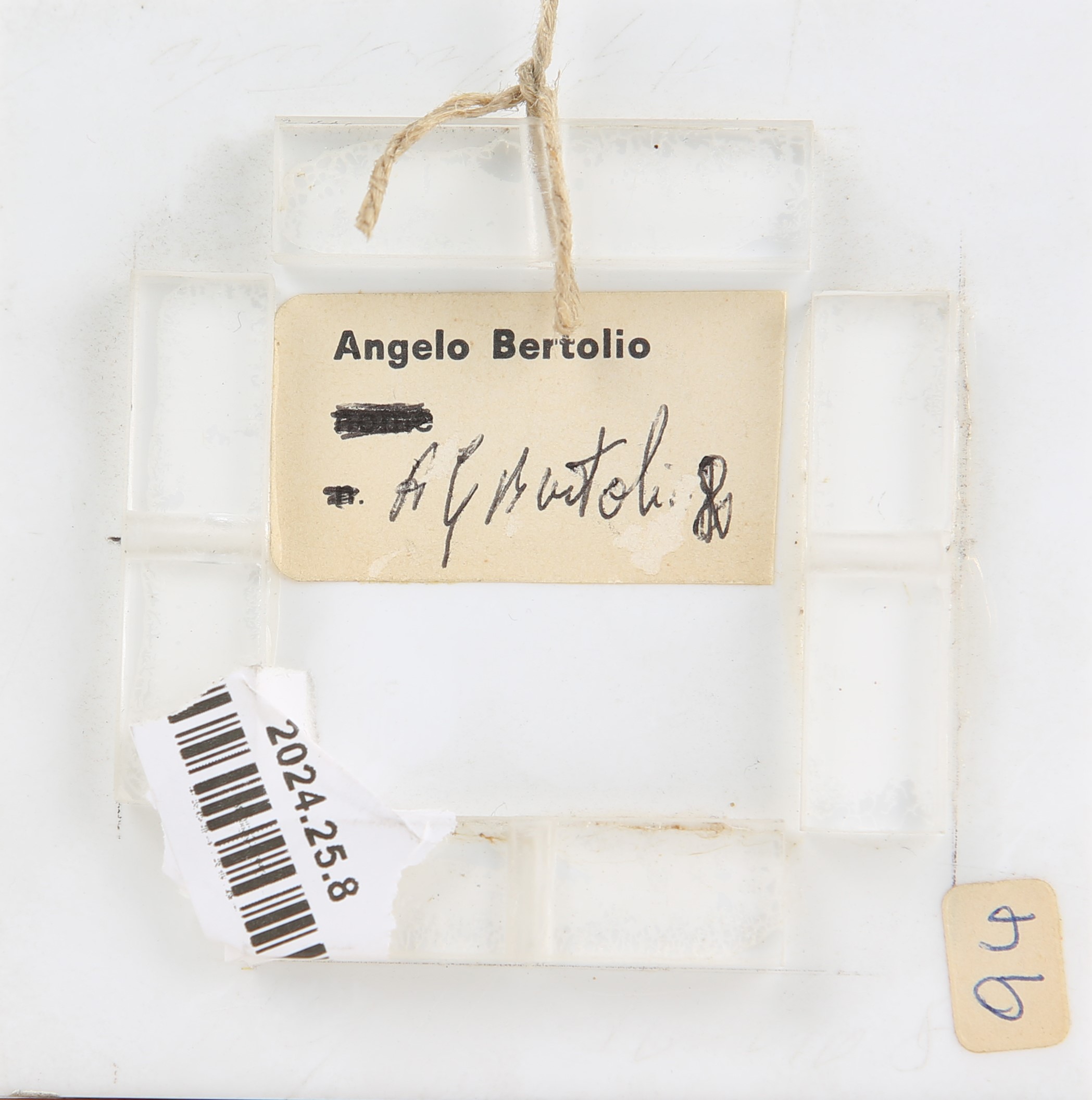 Angelo Giuseppe Bertolio - Senza Titolo