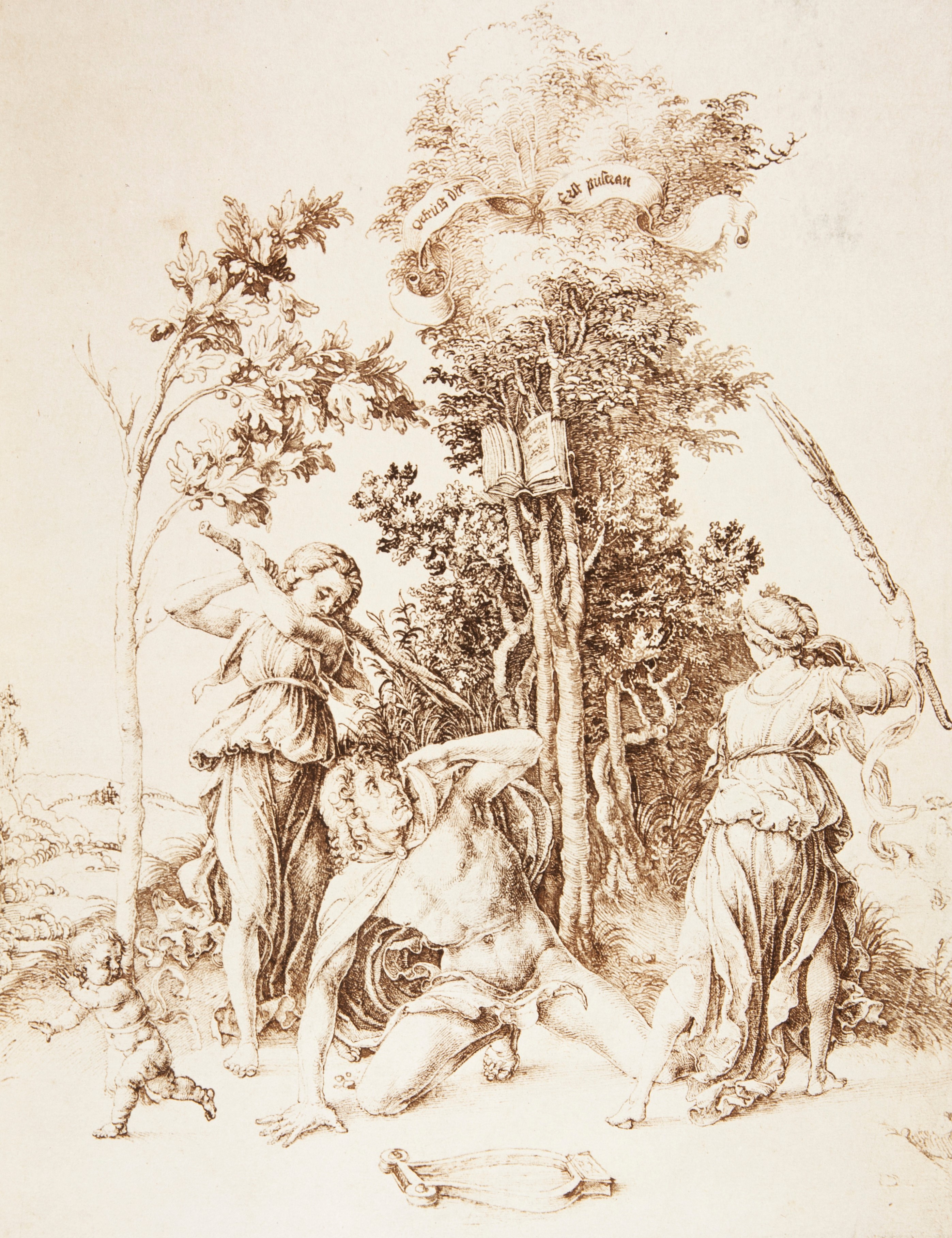 Roberto Salvini - Albrecht Durer Disegni