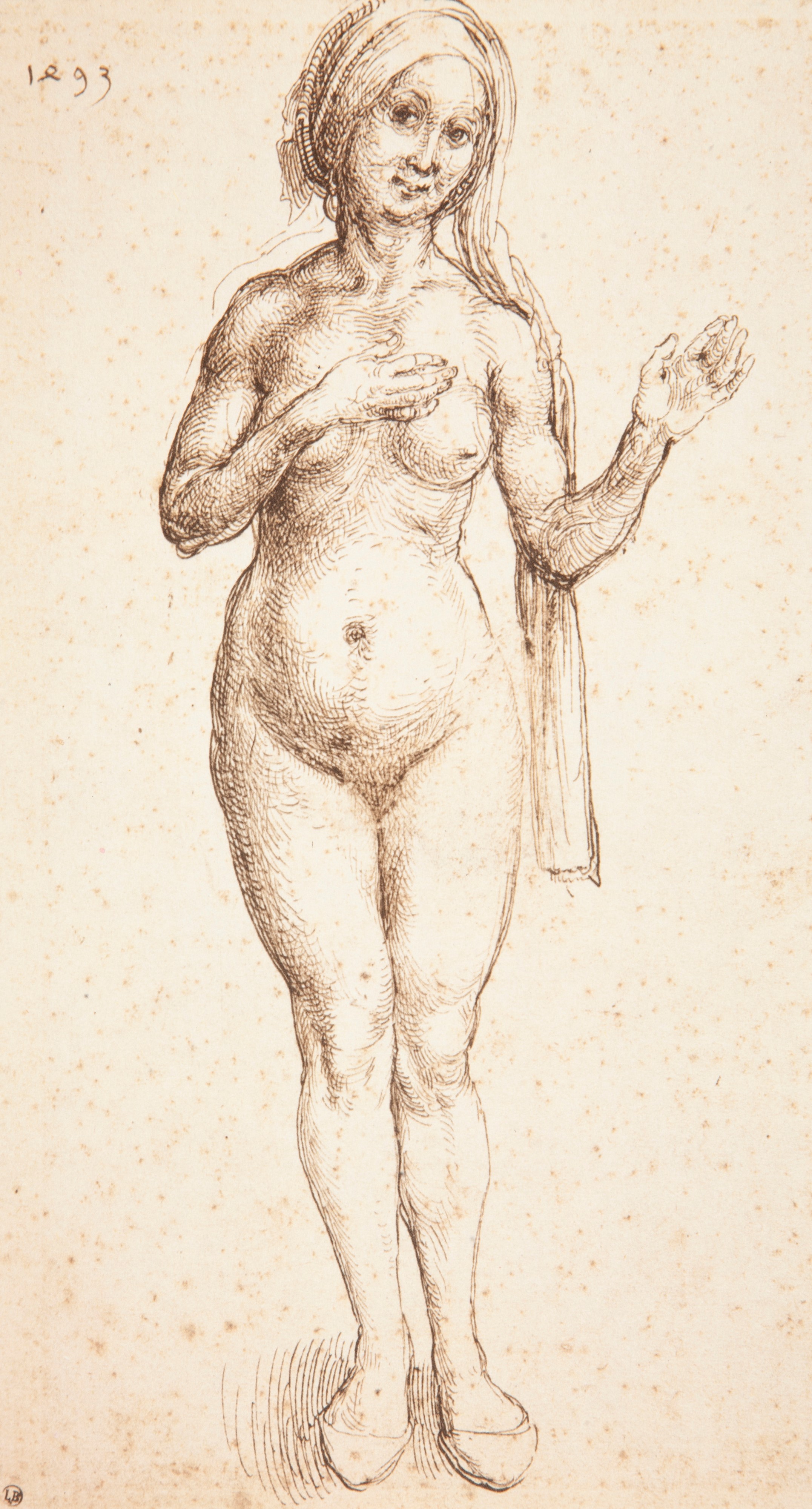 Roberto Salvini - Albrecht Durer Disegni