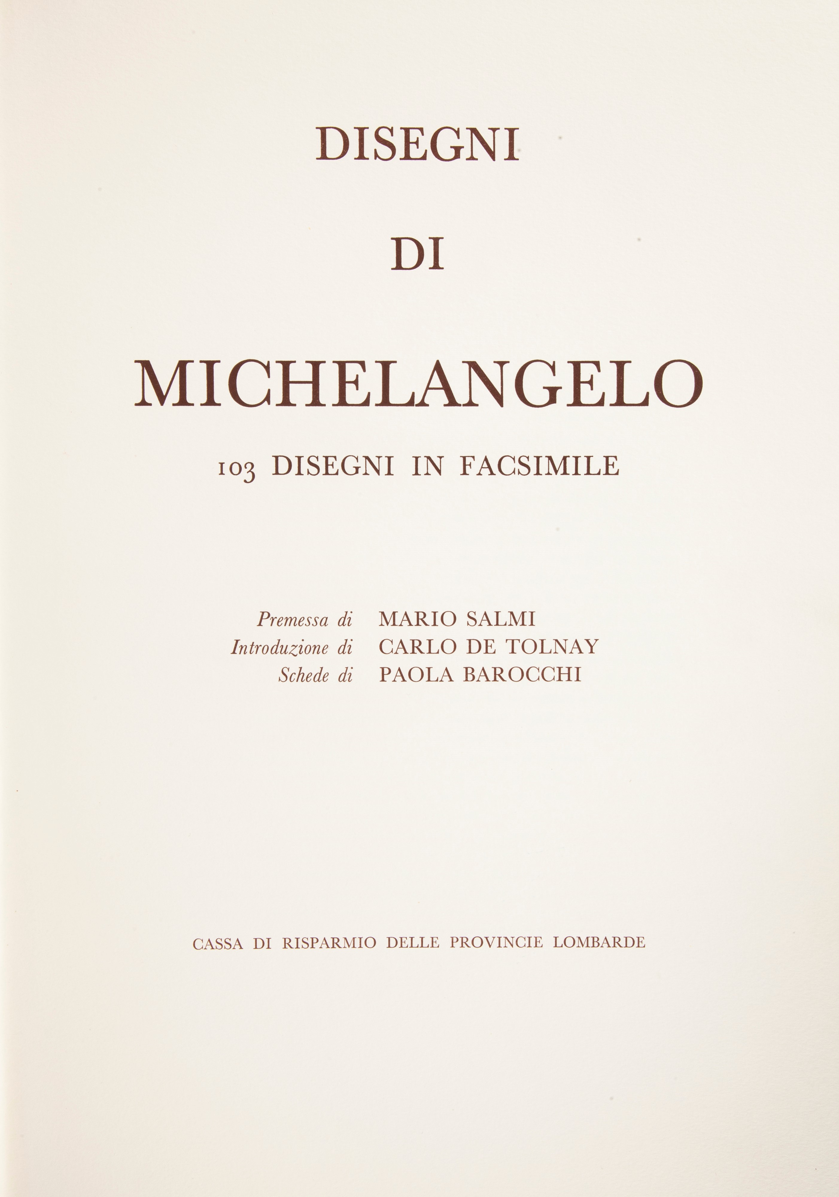 Mario Salmi / Carlo De Tolnay / Paola Barocchi - Disegni di Michelangelo. 103 Disegni in Facsimil...