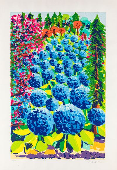 La Cascata delle Ortensie Blu