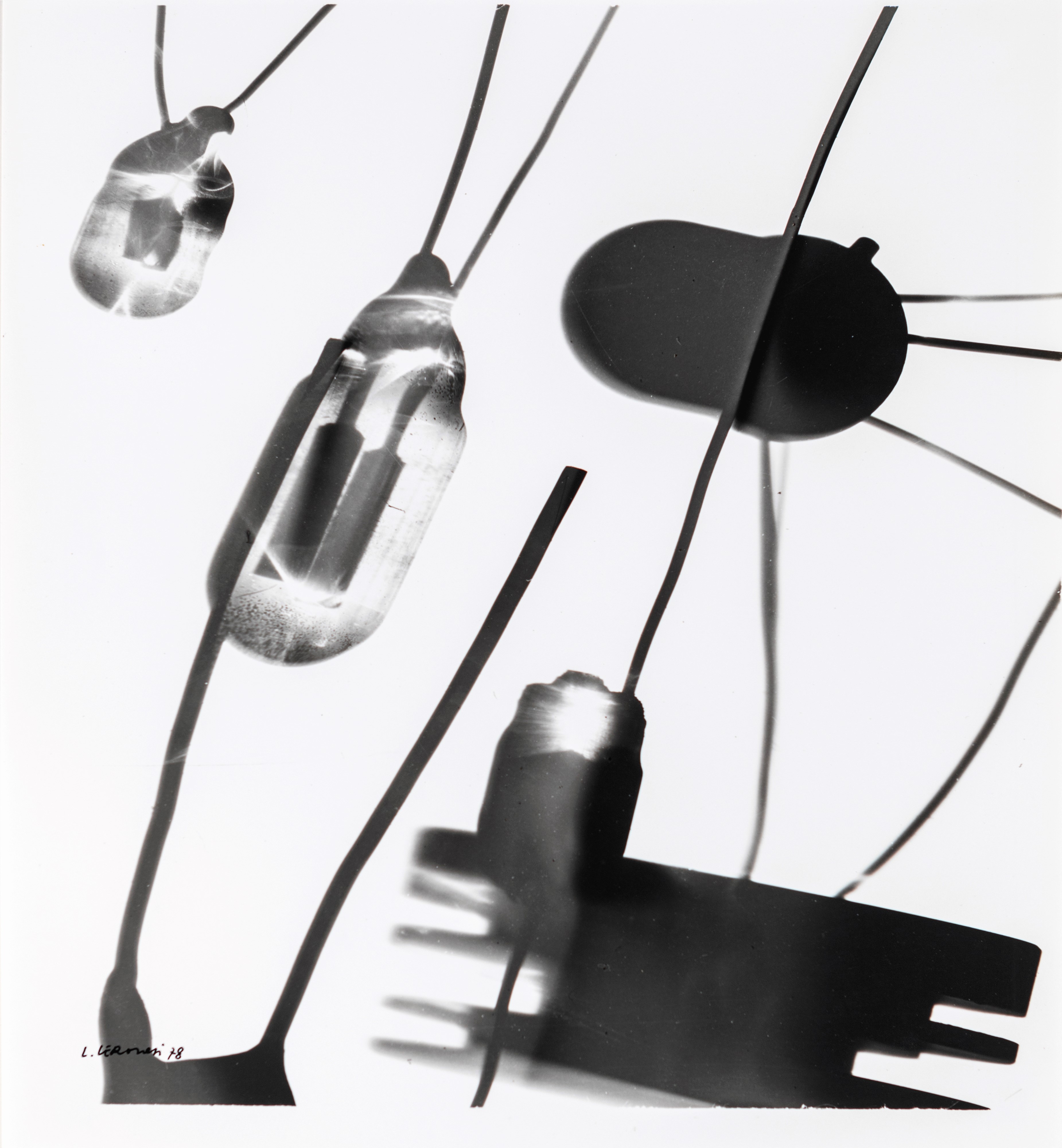 Luigi Veronesi - 4 Fotogrammi