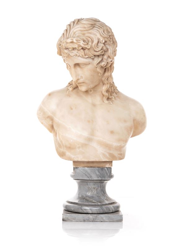 Scultore del XIX secolo - Busto di Antinoo