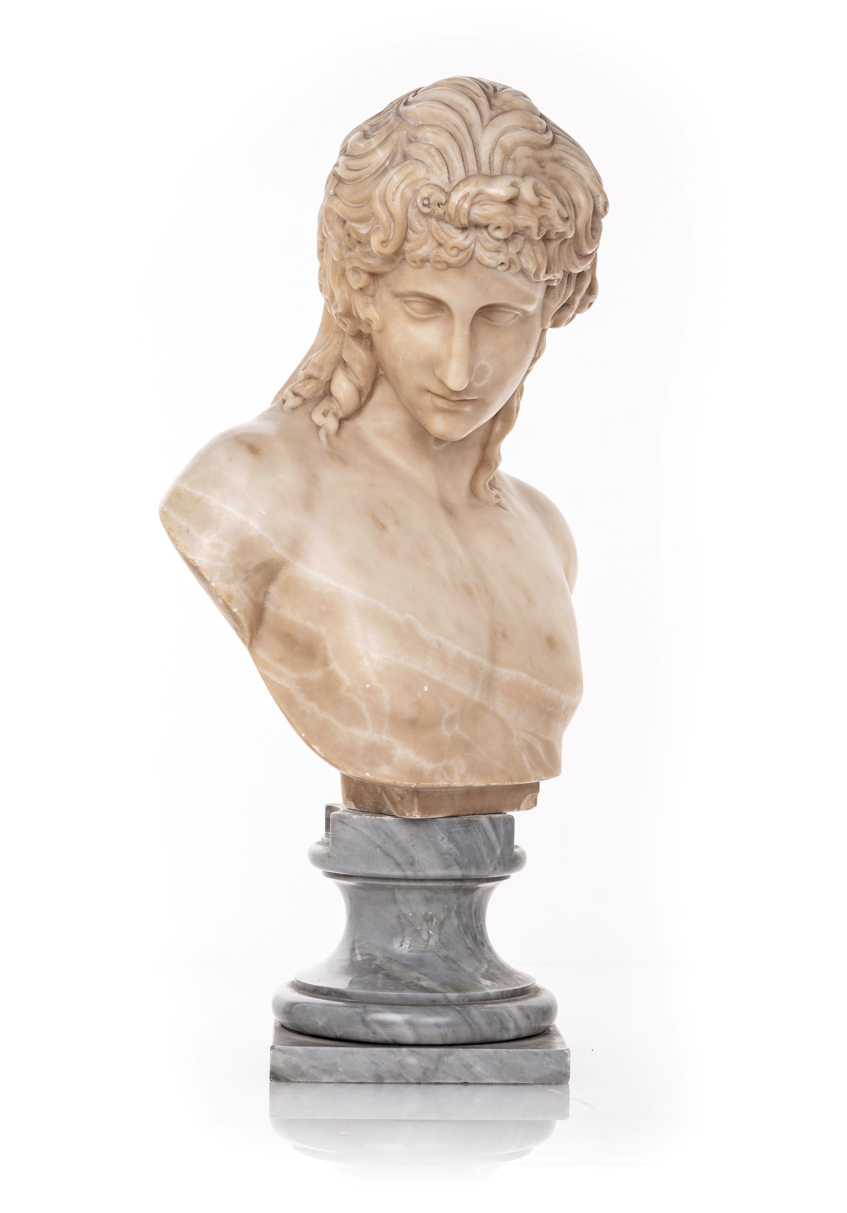 Scultore del XIX Secolo - Busto di Antinoo