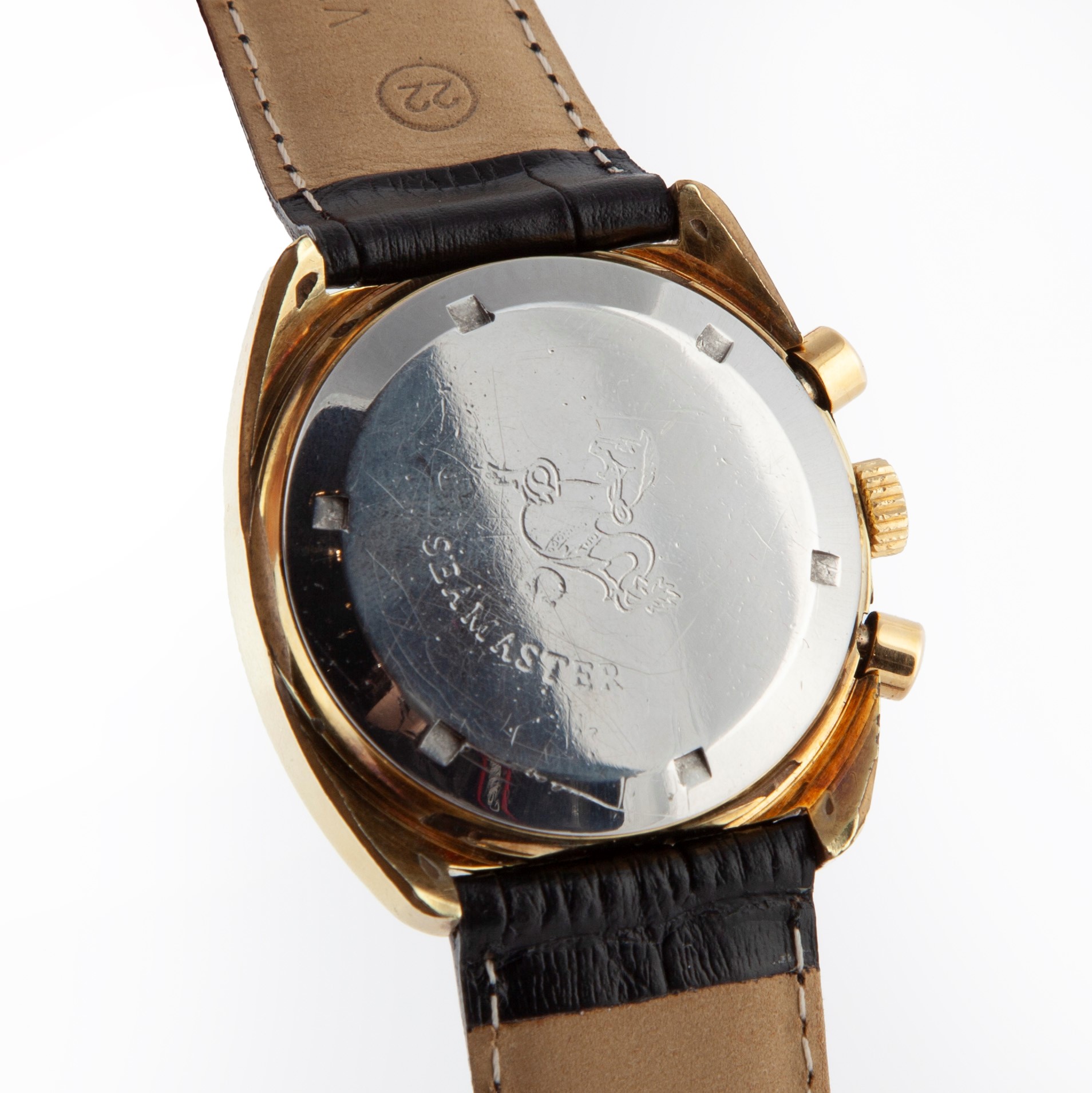 Omega Seamaster, Orologio da Polso in Metallo Laminato Oro