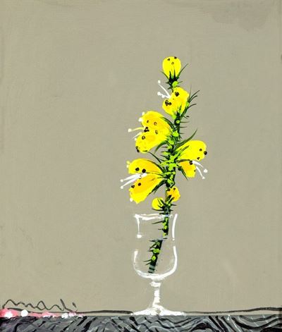 Fiori Farfalla