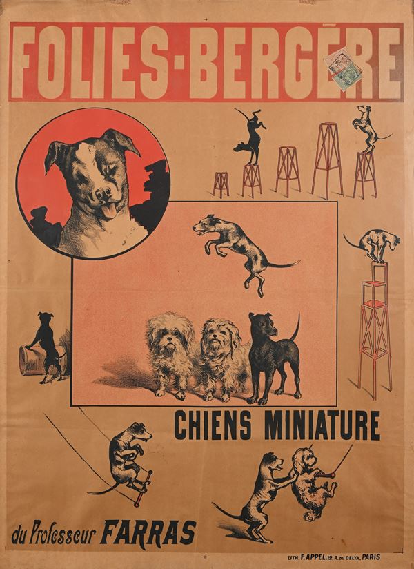 Folies Bergere - Chiens Miniature du Professeur Farras